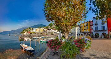 Café terrace on the Lungolago by the fishing port on Lake Maggiore, Ascona, Tessin Ticino, Switzerla