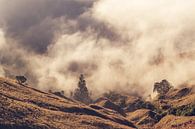 Uitzicht op de wolken aan de voet van Mount Rinjani van Shanti Hesse thumbnail