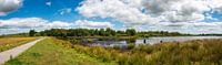 Natur pur aus den Niederlanden: großes Panorama von Werner Lerooy Miniaturansicht