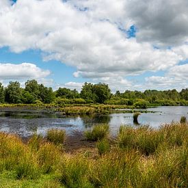 Pure nature from the Netherlands: large panorama by Werner Lerooy