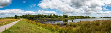 Pure nature from the Netherlands: large panorama by Werner Lerooy