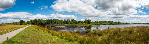 Pure nature from the Netherlands: large panorama