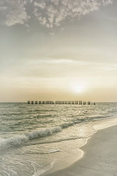 Gasparilla Island Sunset | Vintage by Melanie Viola