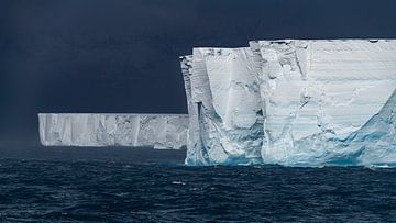 Kolossale ijsbergen Antarctica van Nanda Bussers