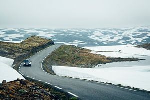 Haugastøl, Noorwegen van Lars van 't Hoog