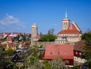 Oude stad van Bautzen in Saksen van Animaflora PicsStock