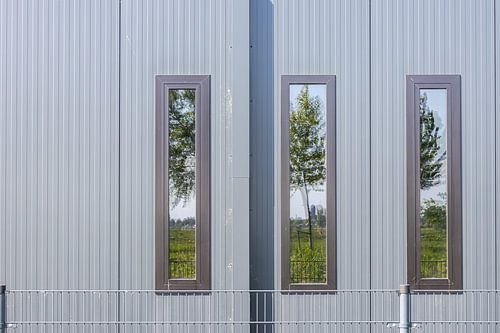 Haal de natuur naar binnen