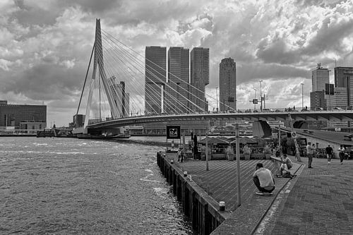 Le pont Erasmus et 