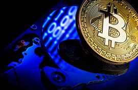 bitcoin auf einer festplatte von Lex van Lieshout