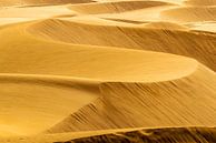 Paysage de dunes par Frank Kuschmierz Aperçu