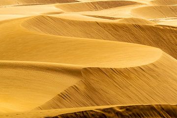 Paysage de dunes sur Frank Kuschmierz