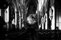 Morning in the cathedral