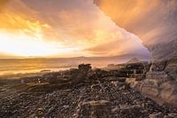 Middelaards Elgol