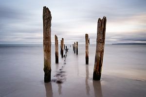 Holzstangen am Strand