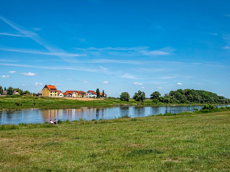 Elbe bank in the city of Riesa in Saxony by Animaflora PicsStock