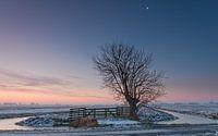 Winter in de polder