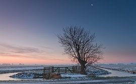 Winter in de polder by Frans Batenburg