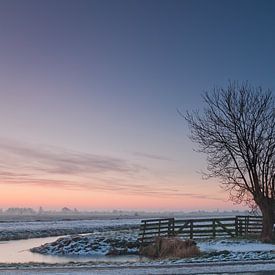 Winter in de polder by Frans Batenburg