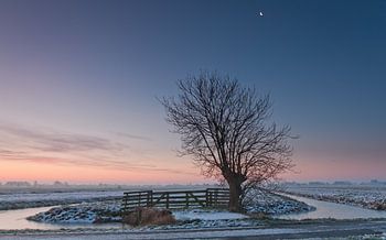 Winter in de polder