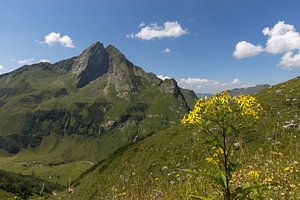 Höfats, Allgäuer Alpen