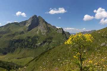 Höfats, Allgäuer Alpen van Walter G. Allgöwer