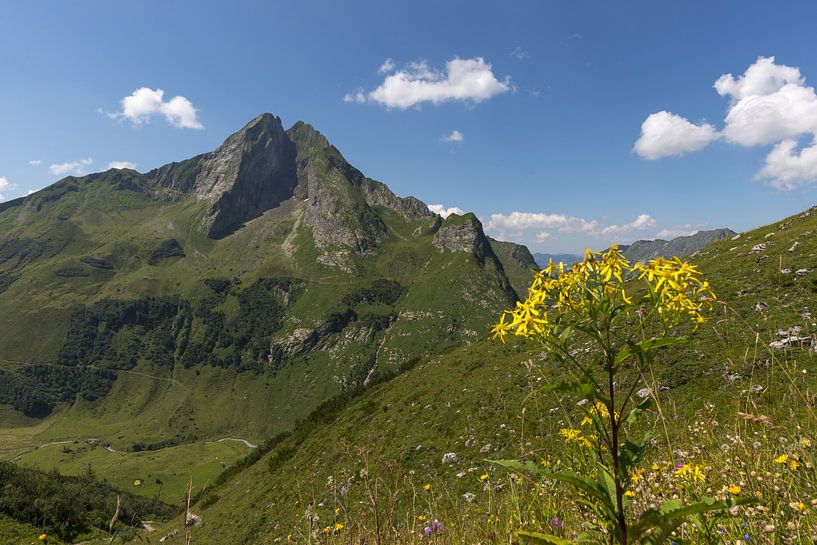 Höfats, Allgäu Alps by Walter G. Allgöwer