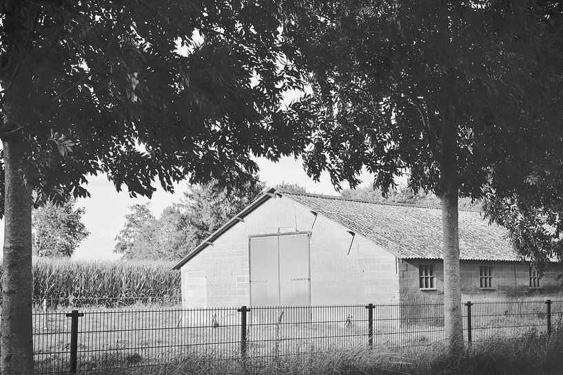 Alte Miete Beste von H,M SOETENS