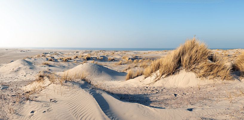 Strand Vliehors Vlieland von Haikey Vlieland Fotografie