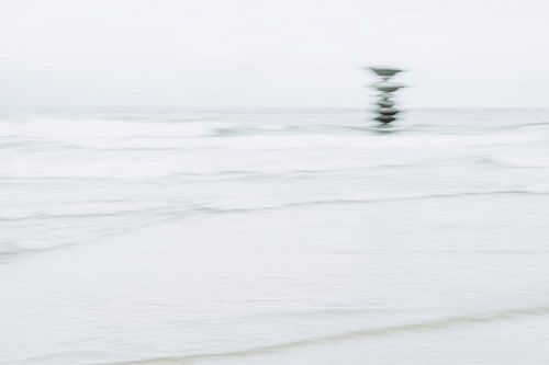 Œuvres d'art dans la mer