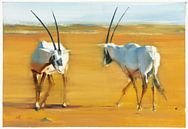 L'oryx arabe encerclant par Mark Adlington Aperçu