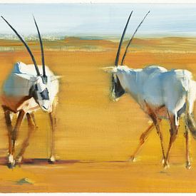 L'oryx arabe encerclant sur Mark Adlington