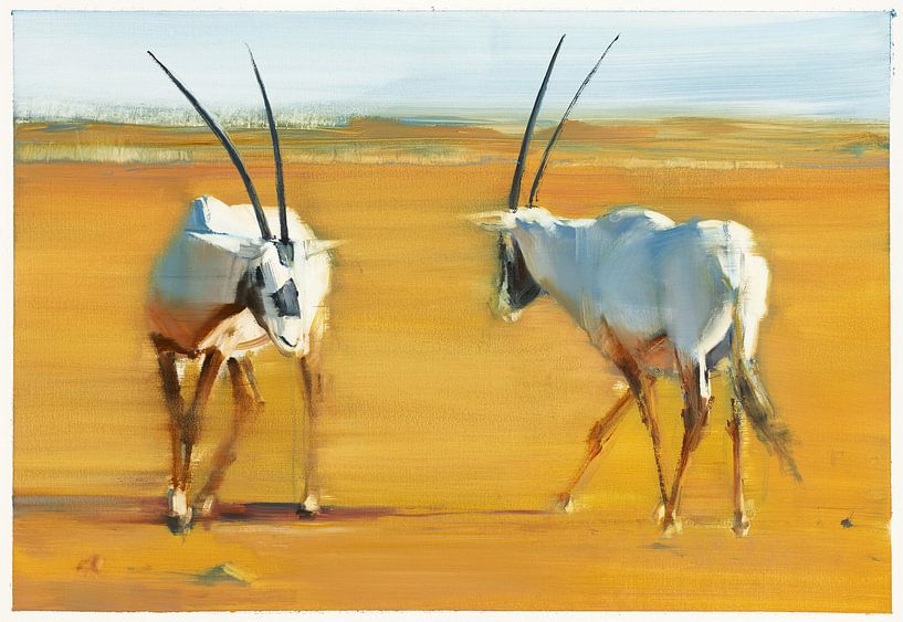 L'oryx arabe encerclant par Mark Adlington