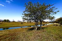 Amsterdam water supply dunes landscape photo.