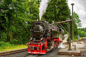 Ravitaillement en eau d'un train à vapeur dans le Harz en Allemagne. sur Jan van Broekhoven