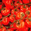 Tomates sur la vigne sur Dorothy Berry-Lound