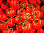 Tomatoes On The Vine by Dorothy Berry-Lound thumbnail