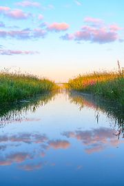 Sonnenaufgang über einem Bach durch Wiesen von Sjoerd van der Wal Fotografie