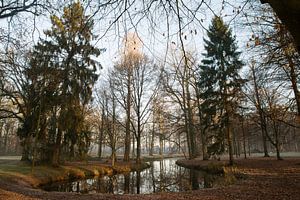 Wasser im Wald