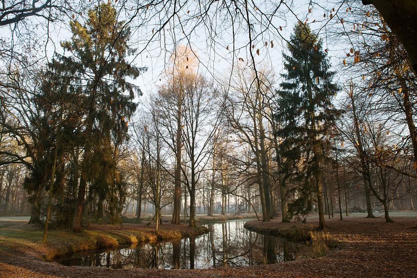 Wasser im Wald von Egon Zitter