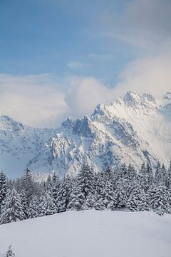 Snowy Karwendel van Fabian Roessler