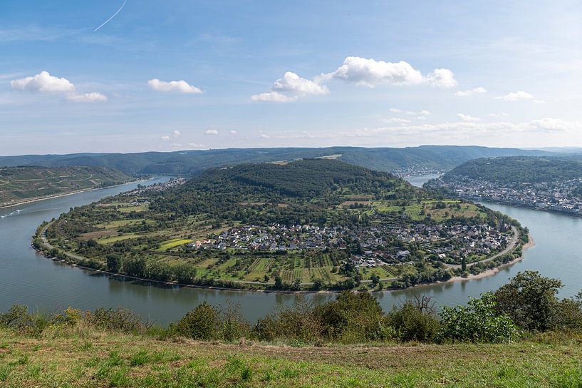 Boppard van Richard Wareham