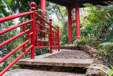 Japanese garden on maadeira island van ChrisWillemsen