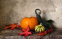 Pumpkins 2