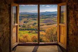 look out of the window by Egon Zitter