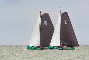 Skûtsjes auf dem IJsselmeer_03