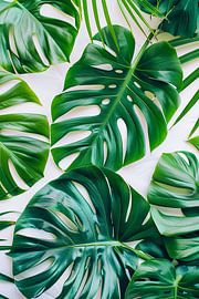 Monstera von Poster Art Shop