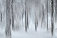 Sporen in het besneeuwde bos van Oliver Lahrem thumbnail