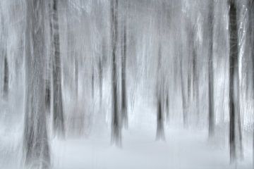 Sporen in het besneeuwde bos van Oliver Lahrem