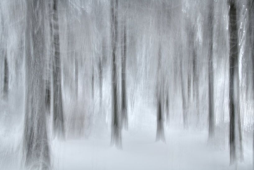 Sporen in het besneeuwde bos van Oliver Lahrem