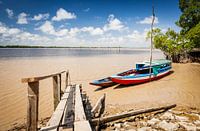 Colorful traditional boats on the Suriname river, Suriname